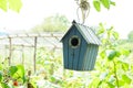 Bird house or bird box in summer sunshine with natural green leaves background. Selective focus. Copy space Royalty Free Stock Photo