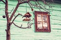Bird house with feed on the tree in Vlkolinec village, Slovakia Royalty Free Stock Photo