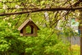 Bird house bird feeder hanging on a blossoming apple tree Royalty Free Stock Photo