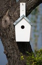 Bird House