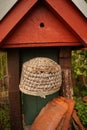 bird house in flower garden, urban farming