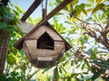 Bird house hanging among the trees