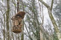 Bird house made from bark of old tree. Royalty Free Stock Photo