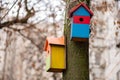 Bird house nest birdhouse hole. home summer