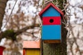 Bird house nest birdhouse hole. outdoor