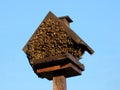 The Bird House Occupied By Huge Bee Hive