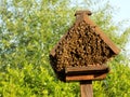 The Bird House Occupied By Huge Bee Hive