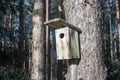 Bird house on a pine tree. Wooden aviary of timber. Nest box Royalty Free Stock Photo