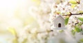 bird house in spring bird house with flowers bird house on tree Royalty Free Stock Photo