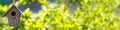 Bird House in Summer Sunshine & Green Leaves Panorama Web Banner