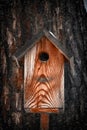 Bird house on a tree