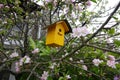 bird house in tree. Birdhouse in the garden to attract birds. yellow birdhouse