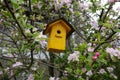 bird house in tree. Birdhouse in the garden to attract birds. yellow birdhouse