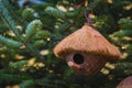 Bird house on a tree made of coconut