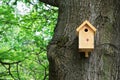 Bird house on a tree. Wooden birdhouse, nesting box for songbirds Royalty Free Stock Photo