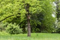 Bird house on a tree. Wooden birdhouse, nesting box for songbirds in park. Royalty Free Stock Photo