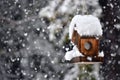 Bird house in winter Royalty Free Stock Photo