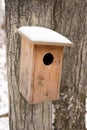 Bird house in winter Royalty Free Stock Photo