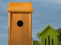 Bird houses decoration in evening sun