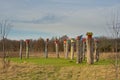 Bird houses on poles in Gentbrugse Meersen nature reserve, Ghent, Belgium Royalty Free Stock Photo