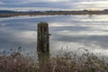 Wren houses on post in Lower Pitt River, Coquitlam Royalty Free Stock Photo