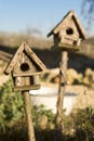 Bird Houses in Sunshine