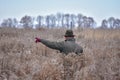 The bird hunter walks across the field with his dog on a partridge hunt and shows her where to go