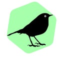 Bird Icon Flat Graphic Design