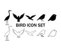 Bird icon set featuring various bird species in silhouette Royalty Free Stock Photo