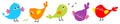 Bird icon set line. Toe trail trace sign track. Cute cartoon kawaii character. Birds baby collection. Decoration element. Singing