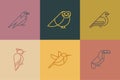 Bird icon set