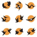 Bird icons set