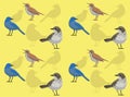 Bird Jay Thrasher Wood Thrush Cute Cartoon Seamless Wallpaper Background