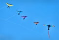 Bird Kites Blue Sky Royalty Free Stock Photo