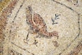 Bird laid out from a mosaic on the floor in the Nabatean city of Mamshit