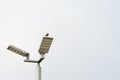 Bird on the lamp on blue sky background Royalty Free Stock Photo