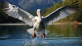 Bird landing to the blue lake water. Bird fly. Dalmatian pelican, Pelecanus crispus. Generative AI