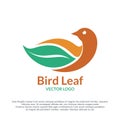 Bird leaf logotype vector design