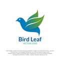 Bird leaf logotype vector design