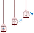 Bird leaving cage and return in the cage