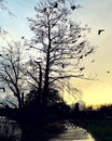 Bird life in Norway at the west coast of the country