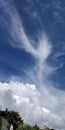 Bird Like Cirrus Clouds flit above Billowing Cumulus