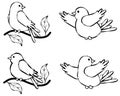 Bird Line Art Illustration 2 Royalty Free Stock Photo