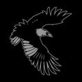 Bird Logo. Black Raven in flight with outstretched wings.