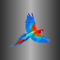 Bird logo design in blue, red, green with polygonal techniques. Royalty Free Stock Photo