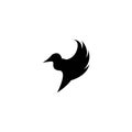 Bird logo template vector