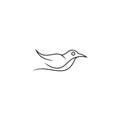 Bird logo vector icon template