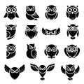 Bird logo. Wild owl knowledge symbols vector stylized modern graphic illustrations