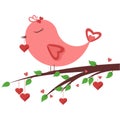 Bird in love Royalty Free Stock Photo