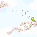 Bird in love on blossom branches Royalty Free Stock Photo